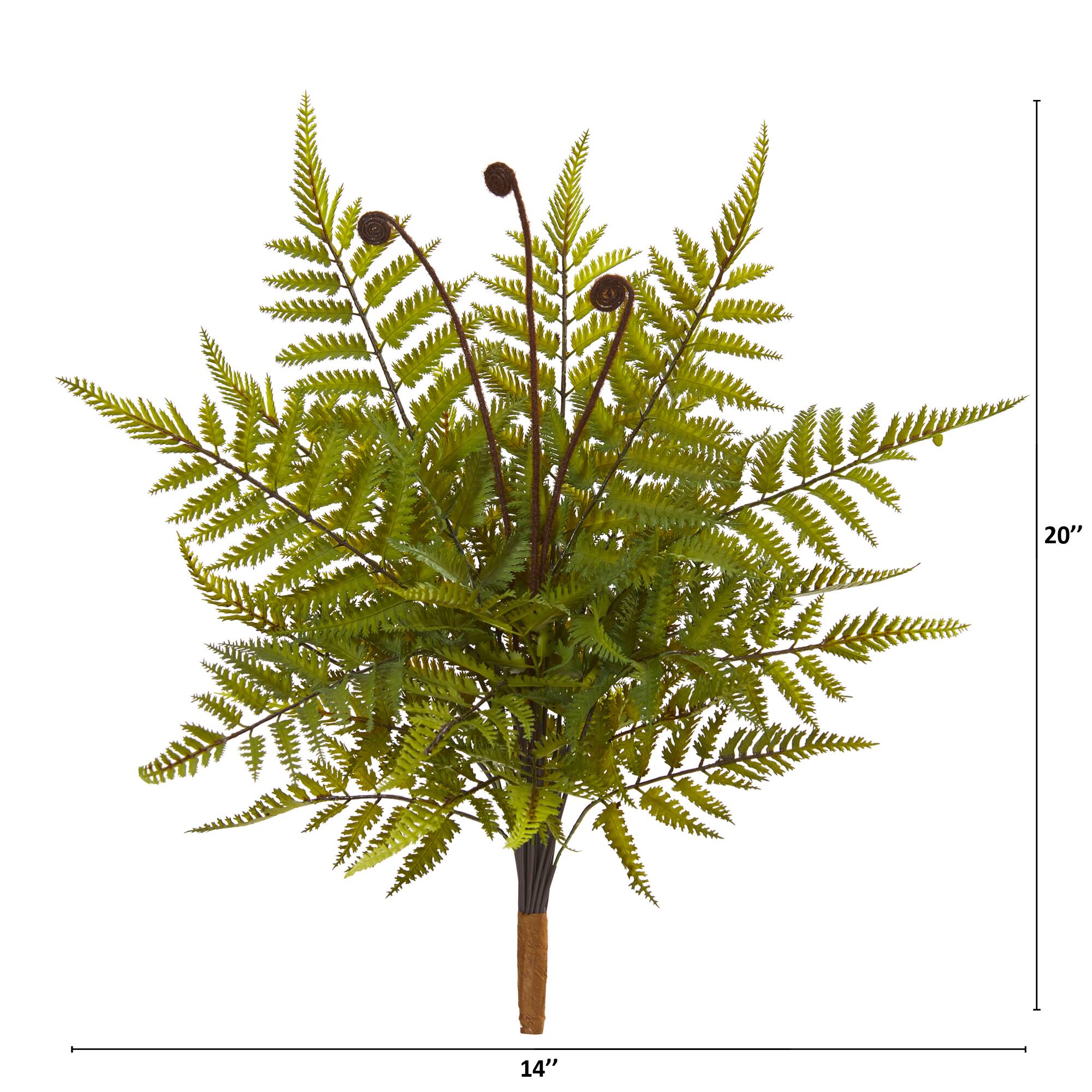 Green Fern Pick, 3ct.